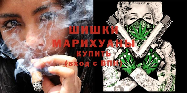 эйфоретик Арсеньев