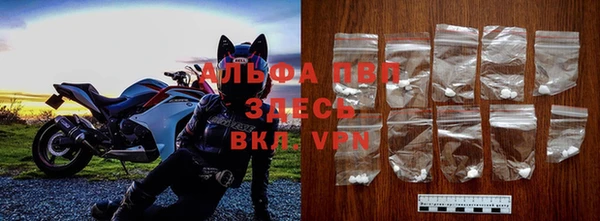 эйфоретик Арсеньев