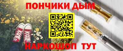 гидра Гатчина