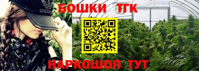 гидра Гатчина