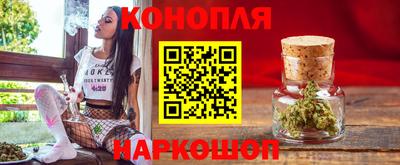 гидра Гатчина