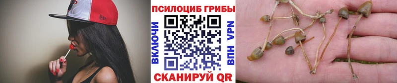 Галлюциногенные грибы Psilocybine cubensis  Джанкой 