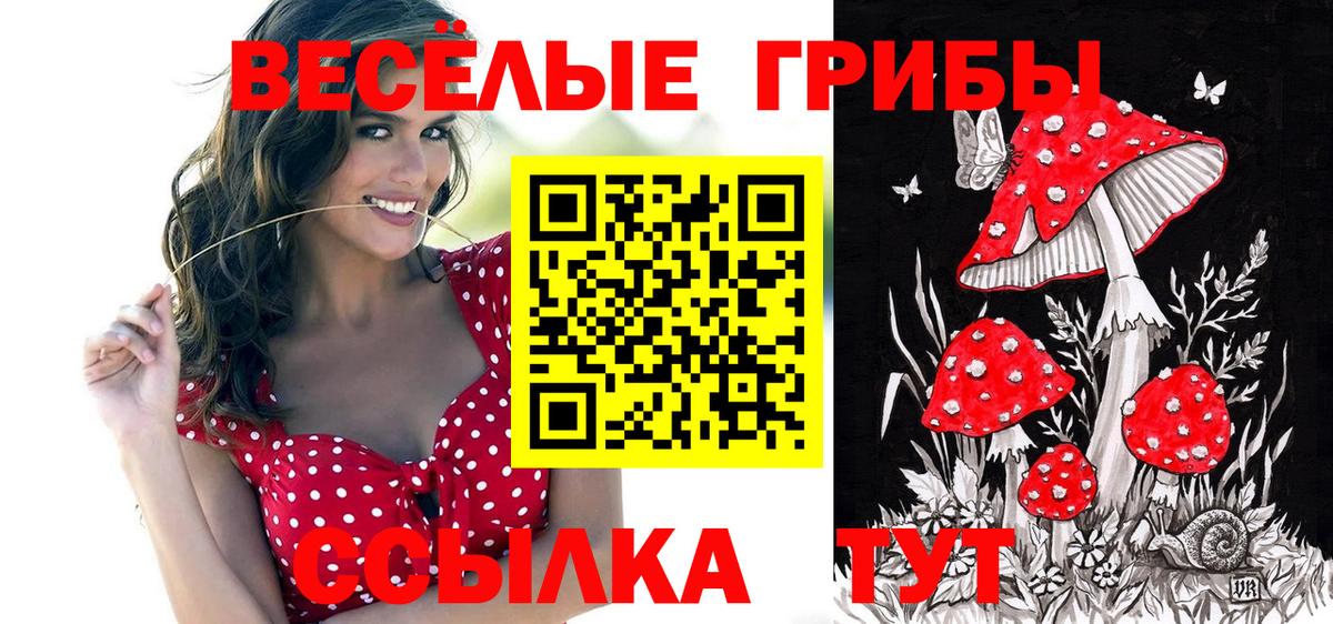 Галлюциногенные грибы Cubensis  Вход с VPN  Джанкой  Псилоцибиновые грибы Psilocybe 